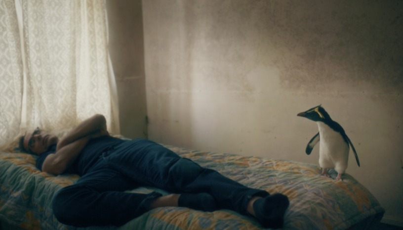 TIDF28 Tristan Forever