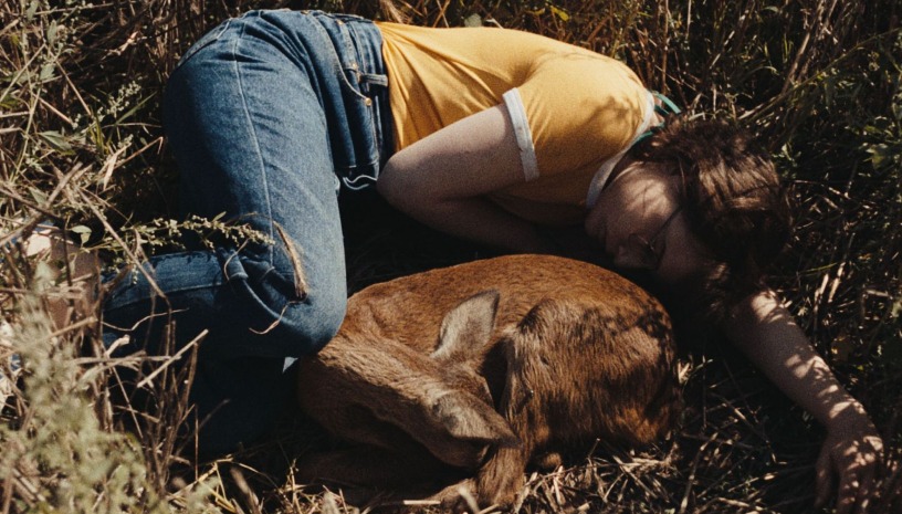 Ο ήχος της πτώσης