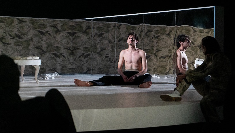 ΟΙ ΔΕΛΦΙΝΟΙ 2025-2026